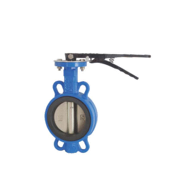 concentric butterfly valve for sale