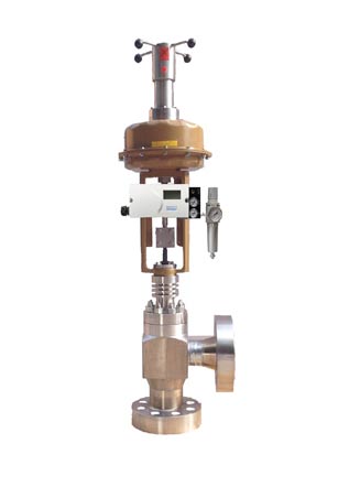 Angle Type Control Valve