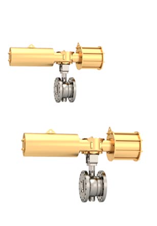 Eccentric Rotary Plug Control Valve