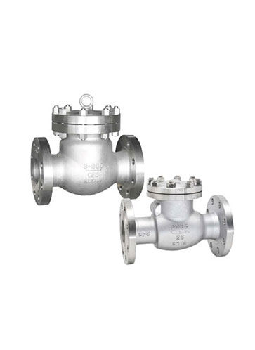 Check Valve