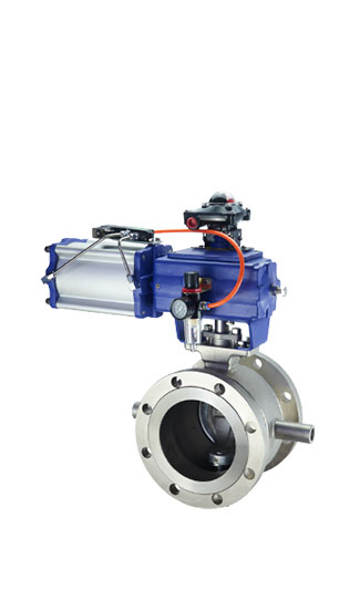 Segmental Ball Valve