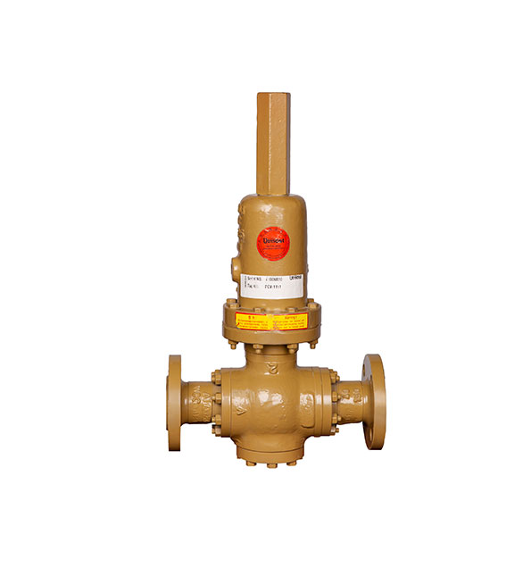 Self Operated Control Valve