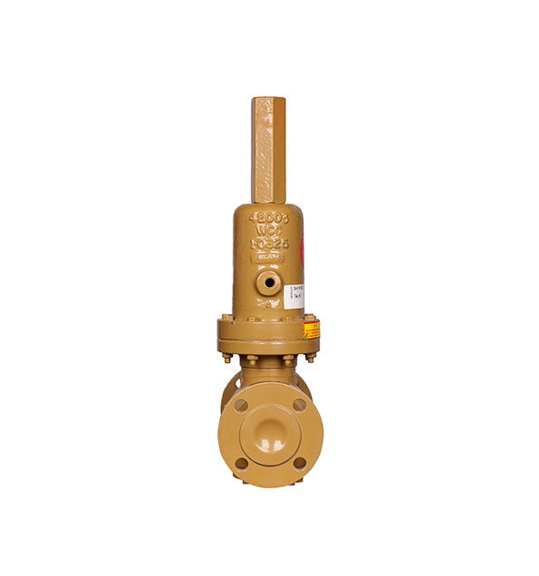 Self Operated Temperature Control Valve