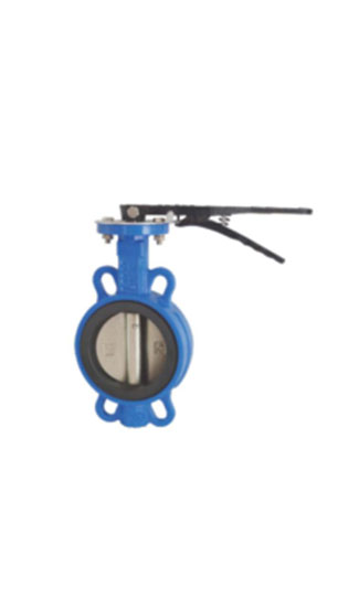 Concentric Butterfly Valve