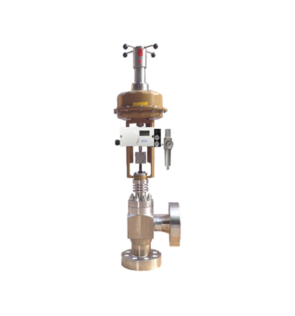 A120 Series Angle Type Control Valve