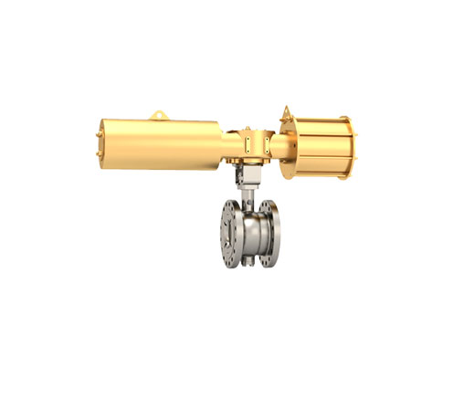 Eccentric Rotary Plug Control Valve