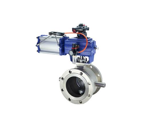 Segmental Ball Valve