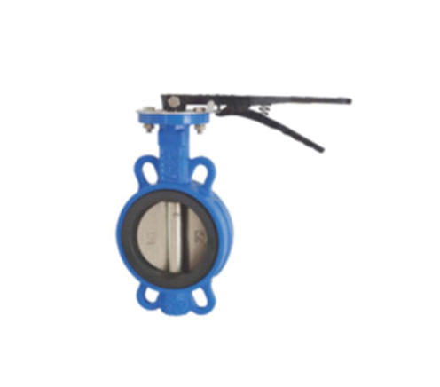 Concentric Butterfly Valve