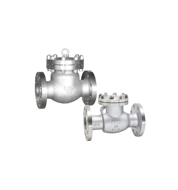 A Check Valve