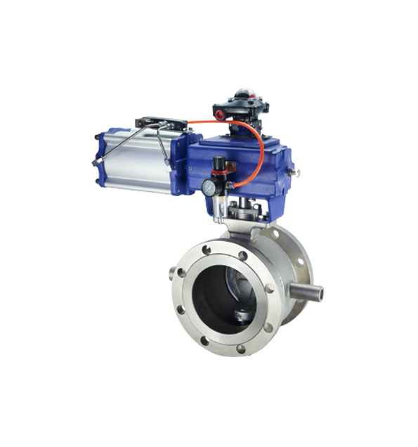 Segmental Ball Valve